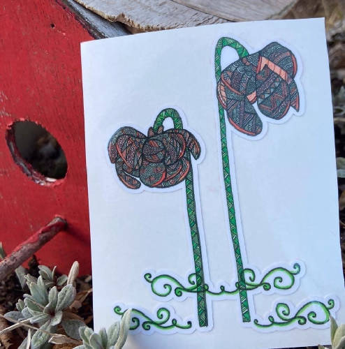 Pitcher Plant Sticker